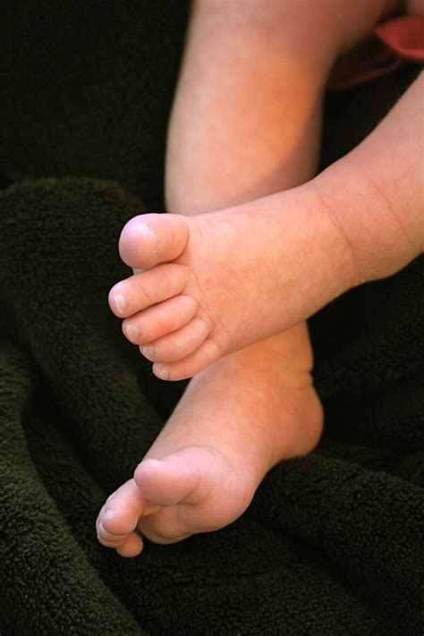 Ten Tiny Toes Beautiful Babies Ten Picture Photography Photograph