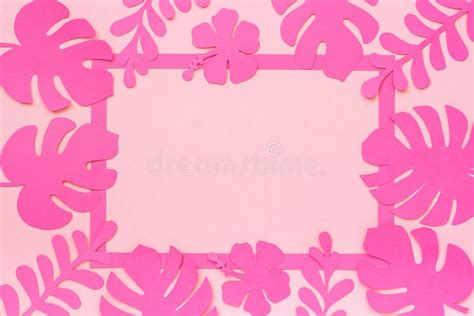 Tropical Leaves Pattern Trendy Tropical Leaves Of Paper And Frame On