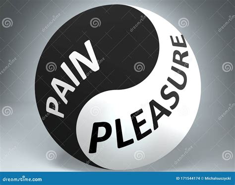 Pain And Pleasure In Balance Pictured As Words Pain Pleasure And Yin