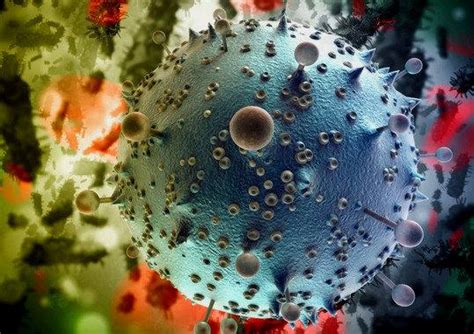 El virus respiratorio sincicial (rsv, por sus siglas en inglés) es altamente contagioso, lo que significa que se transmite fácilmente de persona a persona. ¿Qué es Anticuerpo? » Su Definición y Significado 2021