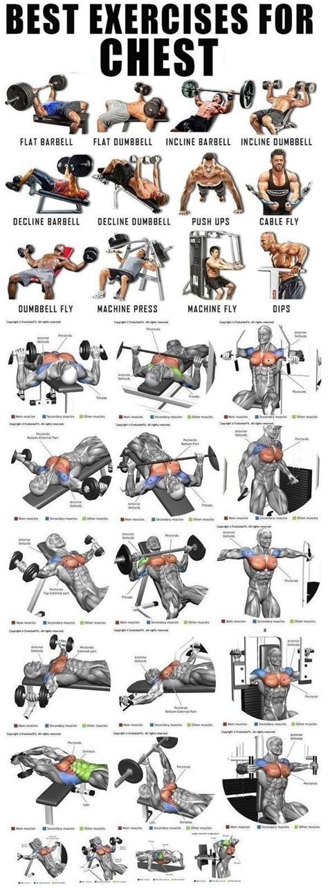 Best Exercise For Chest Dumbbell Chest Workout Chest Workouts Chest