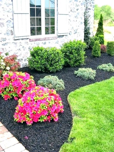 Shrubs For Front Yard Landscaping Bushes Of House Best Evergreen