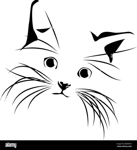 Cat Black And White Drawing