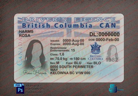 British Columbia Driver License Template Psd Stores