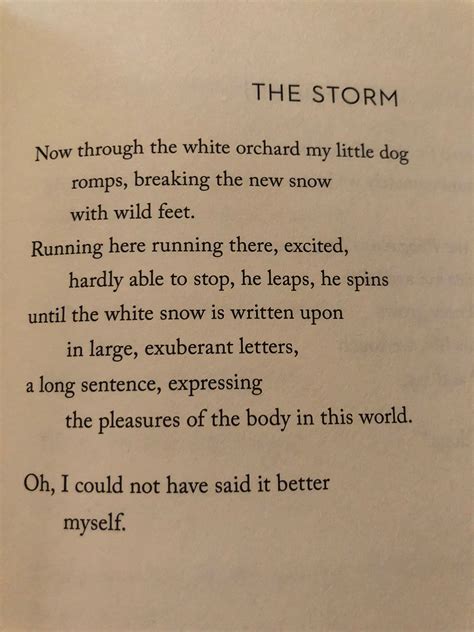 Mary Oliver The Storm Mary Oliver Inspirational Words Words Of Wisdom