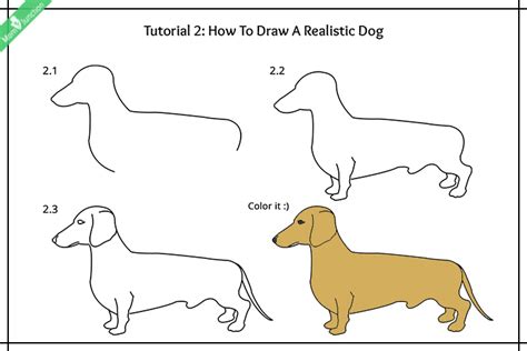 Joints are often overlooked but they do contribute to the pose of 2. Step By Step Guide On How To Draw A Dog For Kids