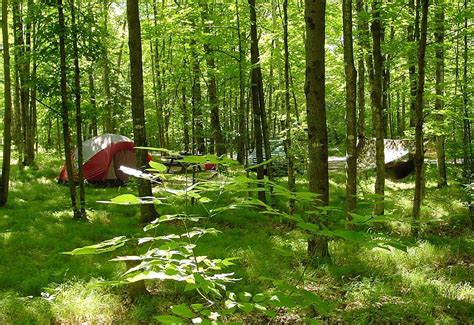 8 Best Camping Spots In Chequamegon Nicolet National Forest
