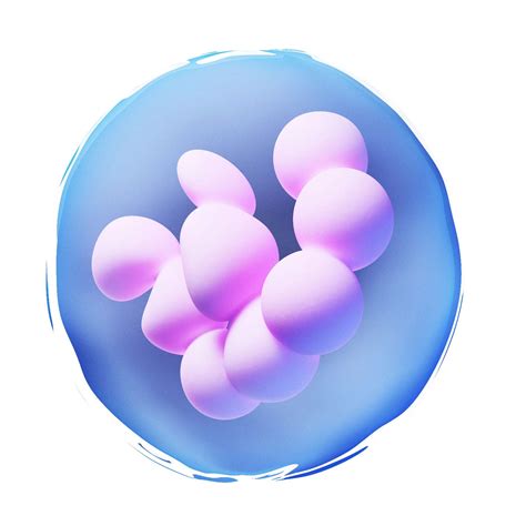 3d Rendered Medical Illustration Of A Megakaryocyte Sciepro