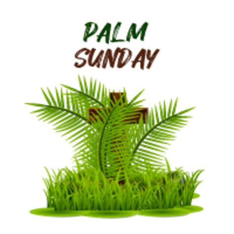 Palm Sunday Vector Png Images Palm Sunday Creative Design Palm