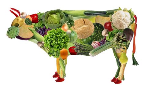 Benef Cios De Ser Vegetariano Dicas Blog Da Paty