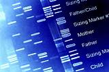 Personal Genetics Testing Companies