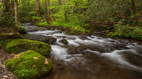 A Peaceful Stream In The North Carolina Smokies Oc