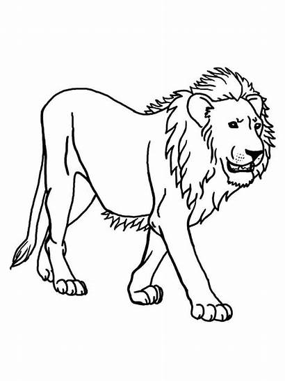 Lion Coloring Pages Clipart Animals Head Clip