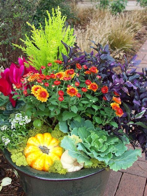 I Like The Mix Of Color And Texture Container Gardening Garden