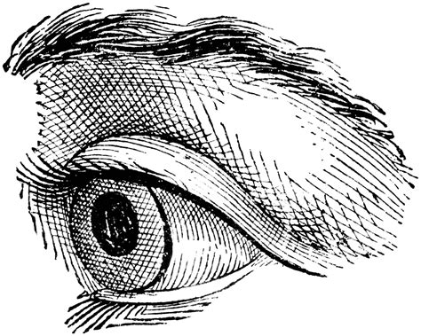 Realistic Eyeball Drawing At Getdrawings Free Download