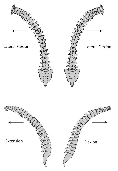 Unique Mechanism Of Chance Fracture In A Young Adult Male The Western