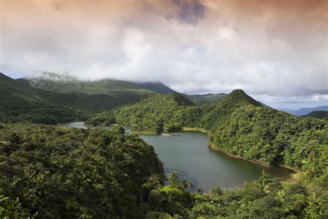 8 Incredible Rainforest Destinations Around The World
