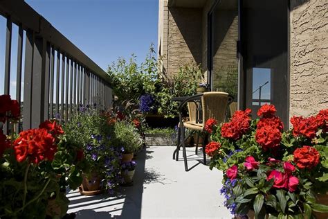 Plants For South Facing Balcony Garden