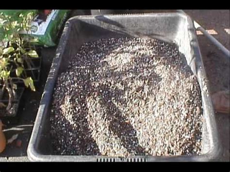 Citrus trees tend to develop nutrient deficiencies at ph of 7.0 and above. Trying to make a 5-1-1 Citrus soil mix - YouTube