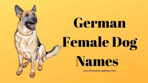 German Female Dog Names 2020 Best And Funny Girl Puppy