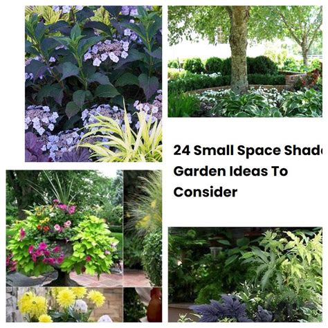 24 Small Space Shade Garden Ideas To Consider Sharonsable