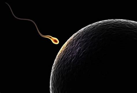 The site owner hides the web page description. Infertility: Types, Treatments, and Costs