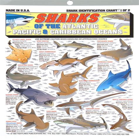 Tightline Publications Shark Identification Chart