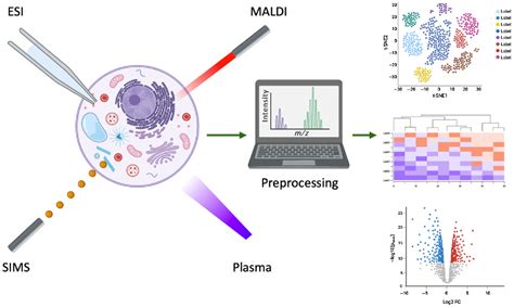 Recent Advances In Single Cell Metabolomics Based On Mass Spectrometry
