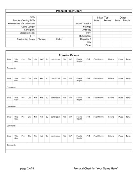 Our Birth Journeys Prenatal Care Chart Blank