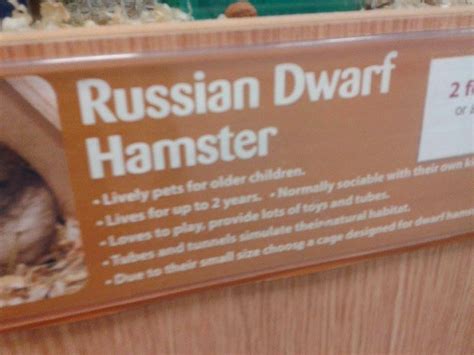 Hamsters do not actually need or want a large cage. The life of one Dani G: May 2014