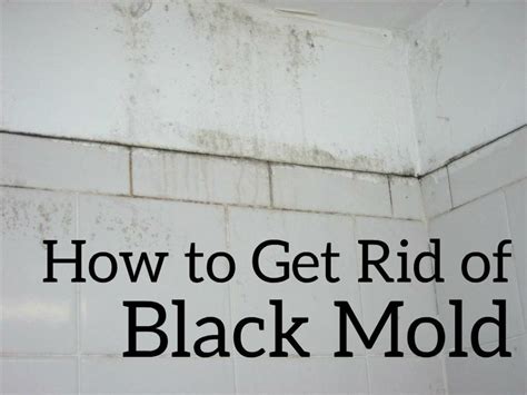 Mold growing on walls and ceiling in a house. How to Get Rid of Black Mold the Easy and Cheap Way ...