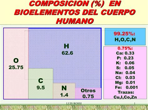 Composicion Molecular Del Cuerpo Humano Dinami