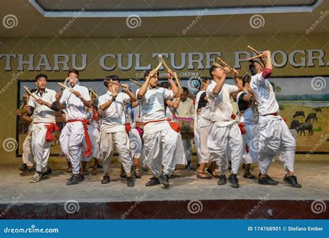 Danza Tradicional Tharu En Sauraha En Nepal Foto Editorial Imagen De Programa Herencia 174768901