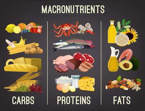What Are The 3 Main Types Of Nutrients Glucose Guards