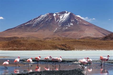 Best Places To Visit In Bolivia 2024 Bolivia Hop