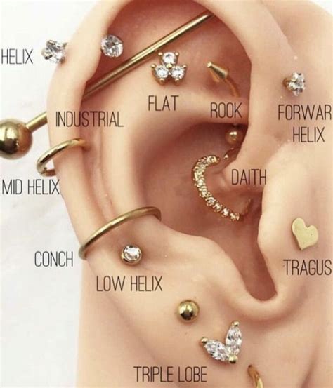 Ear Piercings Chart Piercing Chart Ear Peircings Types Of Ear Piercings Pretty Ear Piercings