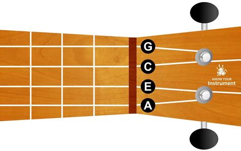 Basic Ukulele Chords For Beginners Know Your Instrument Learning