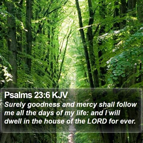 Psalms 236 Kjv Surely Goodness And Mercy Shall Follow Me All The