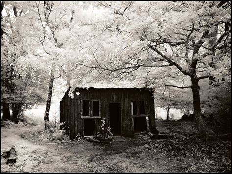 creepy shack in the woods by ellaapgale via flickr places around the world abandoned places
