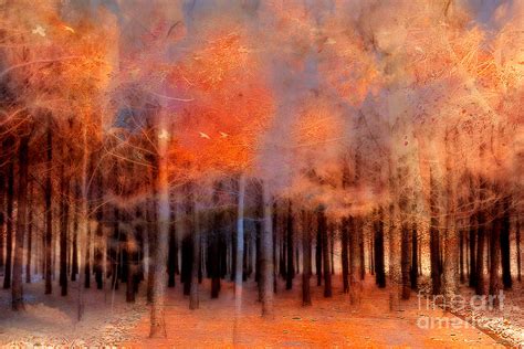 Surreal Fantasy Ethereal Trees Autumn Fall Orange Woodlands Nature