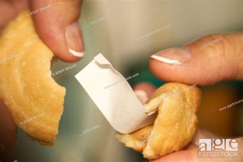 Opening Fortune Cookie Stock Photo Picture And Rights Managed Image