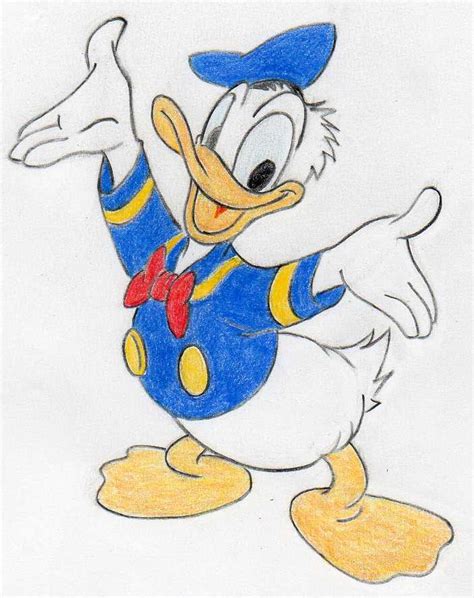 Top Duck Picture Drawing Super Hot Seven Edu Vn