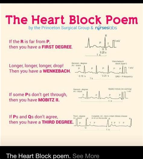 Pin By Katie Green On Nurse Life Medical School Studying Heart