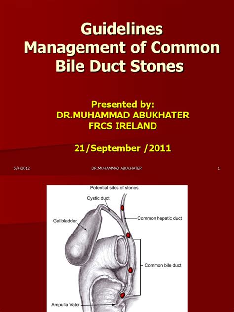 Guidelines Management Of Common Bile Duct Stones Gastroenterologia