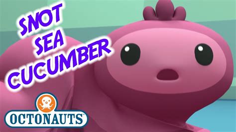 Octonauts The Snot Sea Cucumber Series 1 Full Episode Cartoons