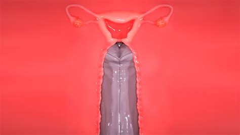 Rule 34 3d Cervix Christmas Extremexworld Ovaries Penis Red Hair Reindeer Teen Uterus Vaginal