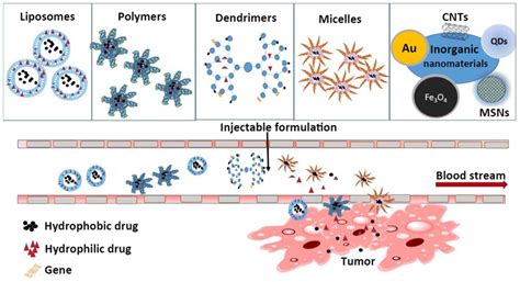 Cancer Drug Delivery In The Nano Era An Overview And Perspectives Review