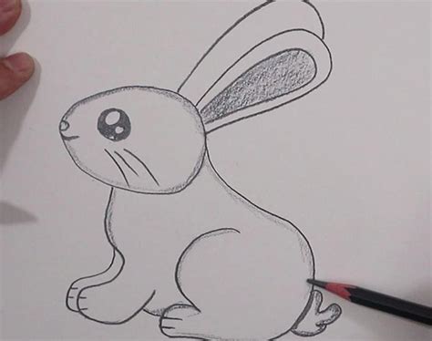 How To Draw Easy Rabbit Step By Step How To Draw