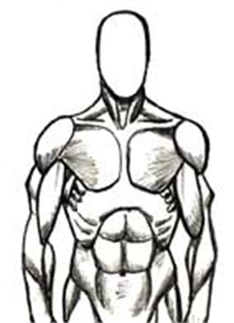 725x960 how to draw the human body. How to draw the human figure - Figure Drawing, Drawing muscles