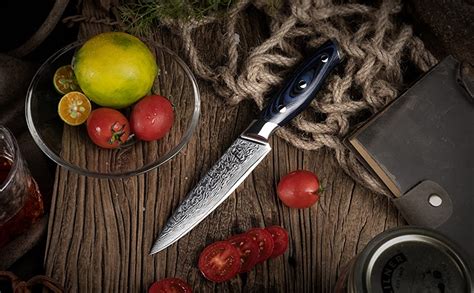 5 Inch Damascus Utility Paring Knife Fanteck Fruit Knife Stainless